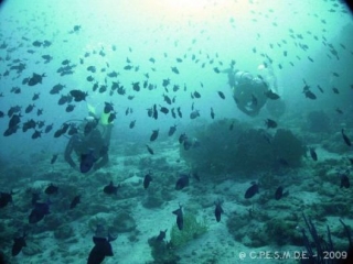  Descubrimientos únicos bajo el agua 